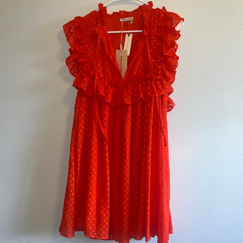 Stella Nova, Anthropologie, Red ruffle dress, Brand new